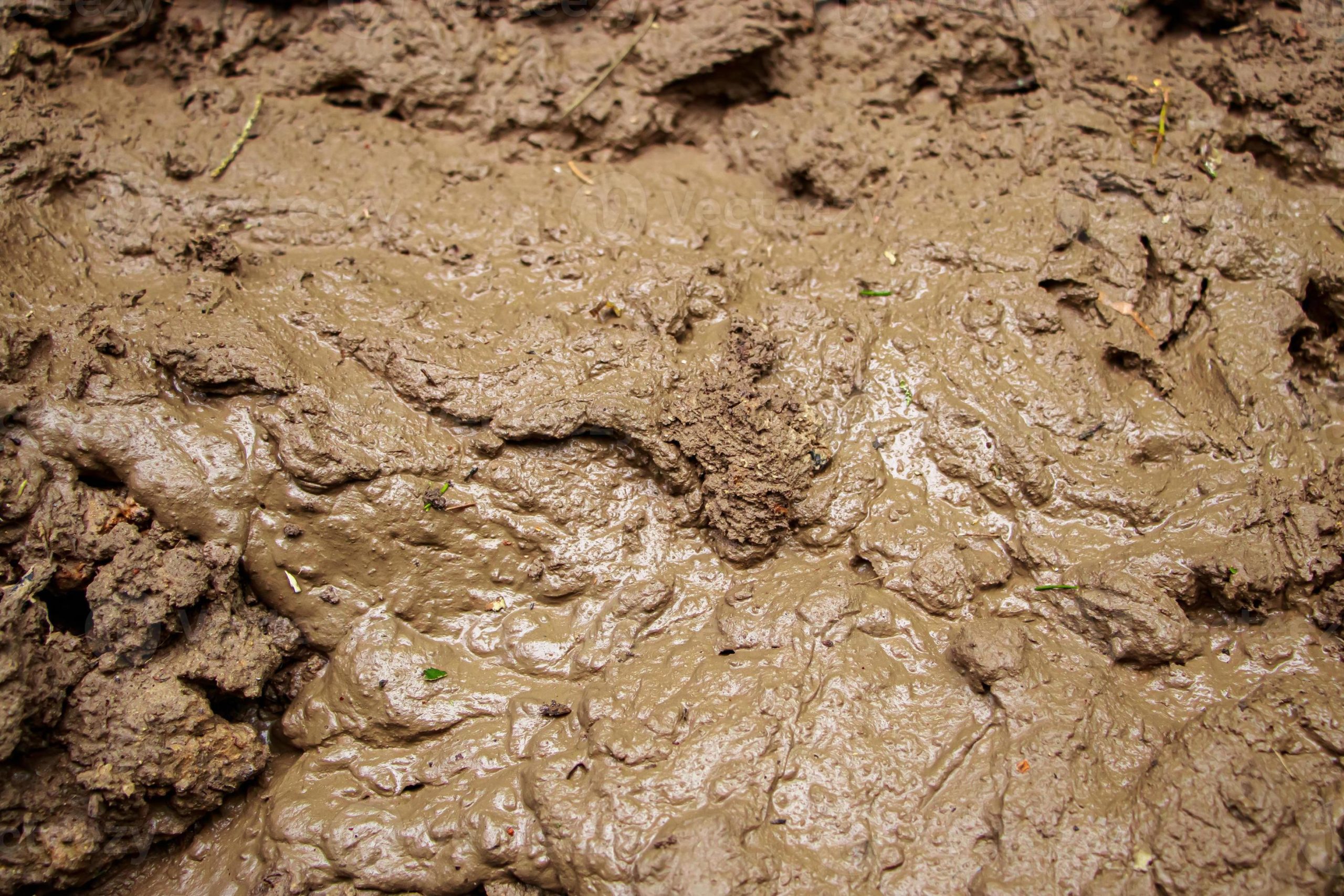 Mud Mask Untuk Lelaki Yang Aktif Di Luar: Bekerja Lebih Baik Dan Berwarna Lebih Cerah